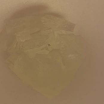 Bennigan's - fly in lemonade - American Near Me - Elgin, Illinois