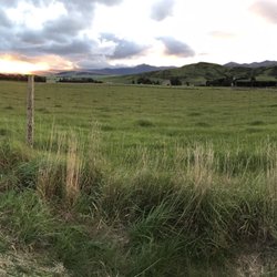 Te Anau