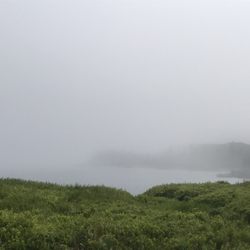 Hamilton Cove