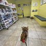 Photo of Archie Kleopfer, DVM - Kleopfer Veterinary Care Clinic