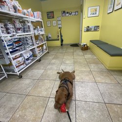 Archie Kleopfer, DVM - Kleopfer Veterinary Care Clinic - Leo with his toy