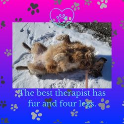 Pawsitive Pet Pals