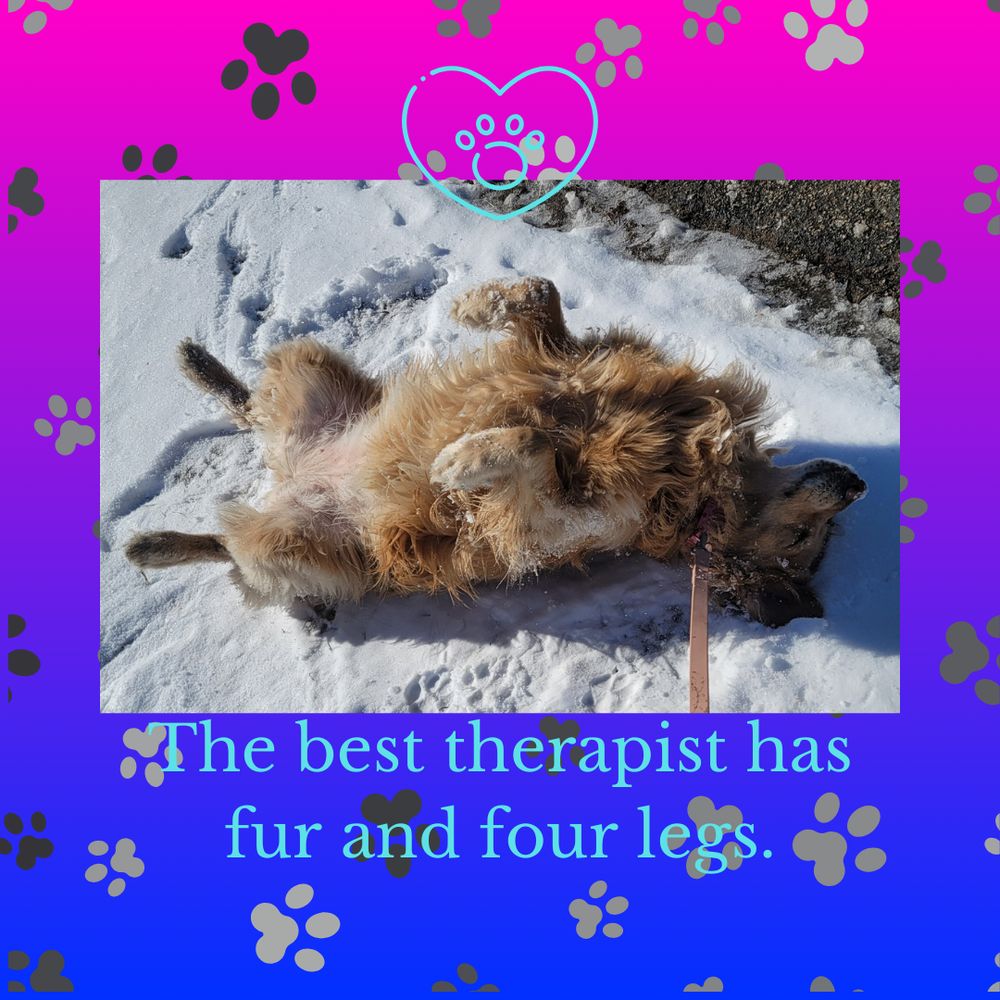 Pawsitive Pet Pals - pet boarding facility in Manchester, NH