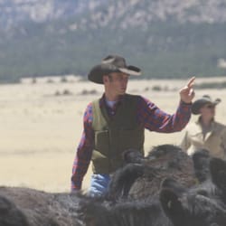 Vaquero Feed and Livestock Supply