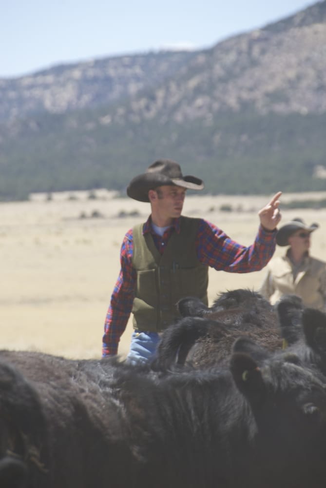 VAQUERO FEED AND LIVESTOCK SUPPLY Updated September 2024 3301 N