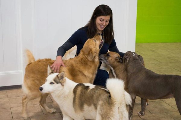 Hounds Town Space Coast