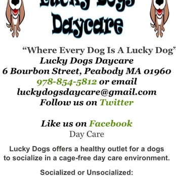 Lucky Dogs Daycare - Pet Sitting Near Me - Peabody, Massachusetts Lucky Dogs Daycare - Pet Sitting Near Me - Peabody, Massachusetts