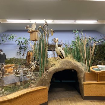 Eagle Creek Park - Ornithology Center at Eagle Creek Park - Parks Near Me - Indianapolis, Indiana Eagle Creek Park - Ornithology Center at Eagle Creek Park - Parks Near Me - Indianapolis, Indiana