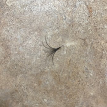 Lash Daddy - This is so painful - Eyelash Service Near Me - Las Vegas, Nevada Lash Daddy - This is so painful - Eyelash Service Near Me - Las Vegas, Nevada