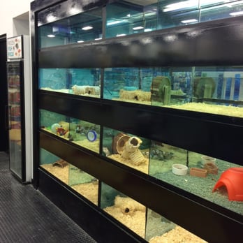 MrPets - Pet Stores Near Me - Chilliwack, British Columbia