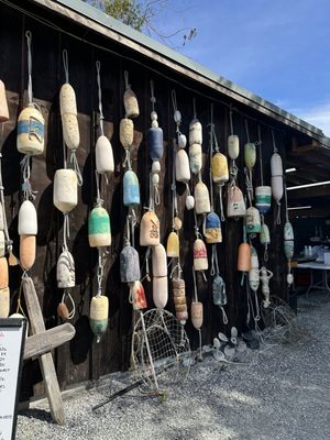 Buck Bay Shellfish Farm by null