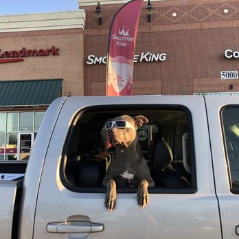 Smoothie King - a dog sitting in the back of a truck - Juice Bars & Smoothies Near Me - Morehead City, North Carolina Smoothie King - a dog sitting in the back of a truck - Juice Bars & Smoothies Near Me - Morehead City, North Carolina