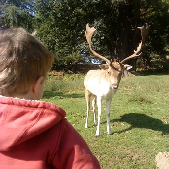 Bradgate Country Park - Parks Near Me - Leicester, LEC Bradgate Country Park - Parks Near Me - Leicester, LEC