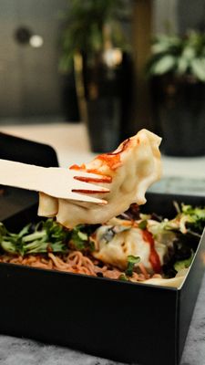 LoveBite Dumplings by null
