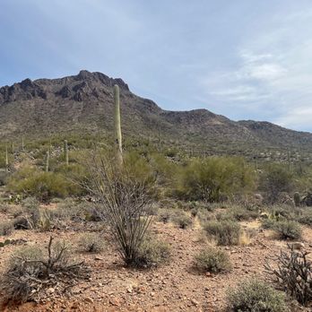 Tucson Mountain Park - Hiking Near Me - Tucson, Arizona Tucson Mountain Park - Hiking Near Me - Tucson, Arizona
