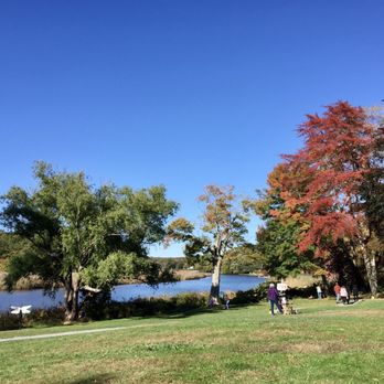 Cafe Flo - Lunch view... - New American Near Me - Old Lyme, Connecticut