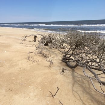 Cap'n Rod's Lowcountry Tours - The island! - Boat Charters Near Me - Georgetown, South Carolina