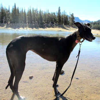 Horseshoe Lake - Lakes Near Me - Mammoth Lakes, California Horseshoe Lake - Lakes Near Me - Mammoth Lakes, California