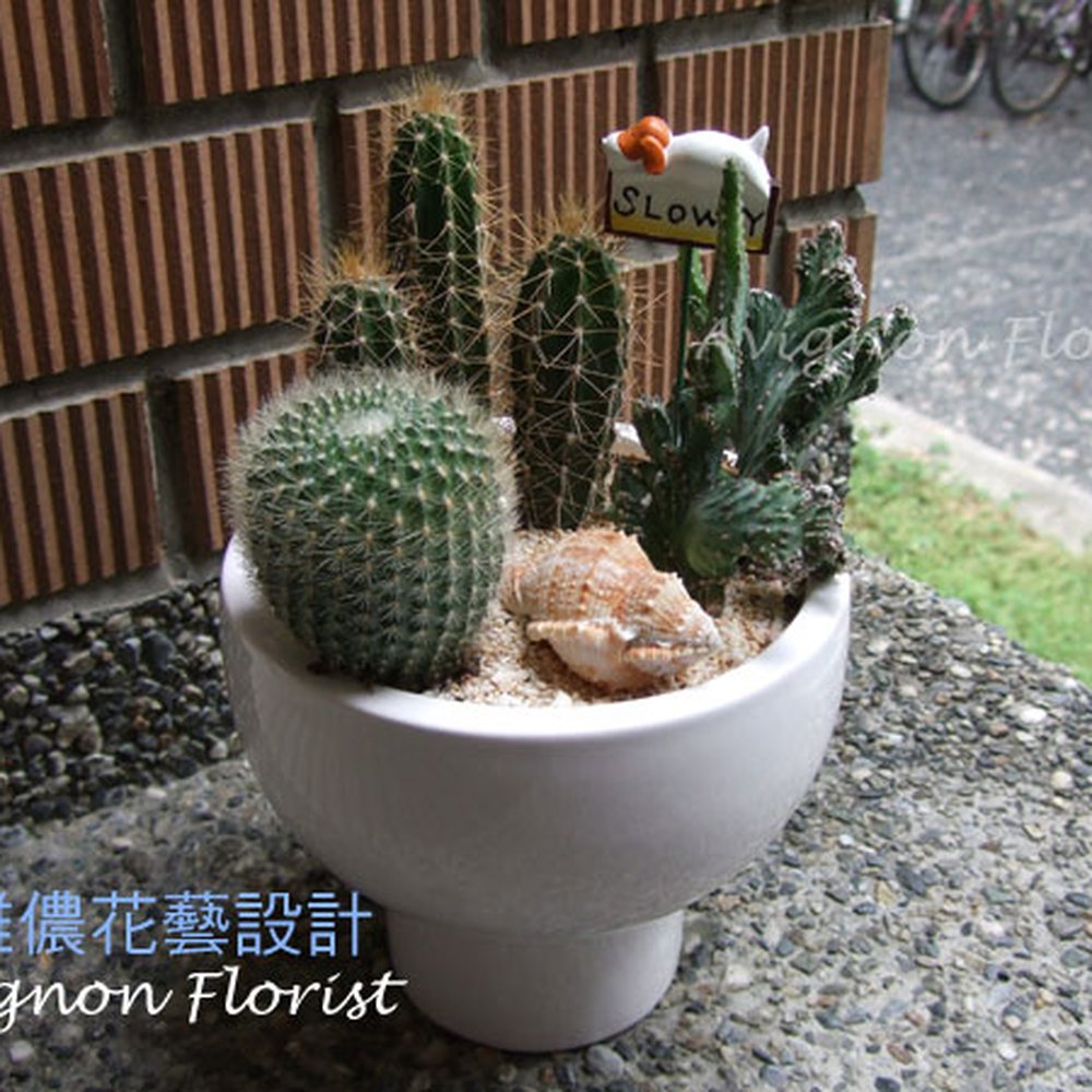 The Best 10 Nurseries & Gardening near 正大種子行in 士林區, 台北市- Yelp