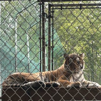 York Wild Kingdom - Amusement Parks Near Me - York, Maine