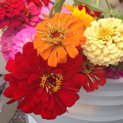 Carytown Farmers Market by null