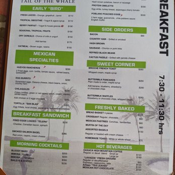 Tail of the whale - Seafood Near Me - Punta Mita, NAY
