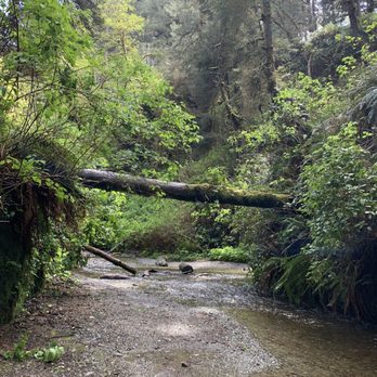 Fern Canyon Trailhead - Parks Near Me