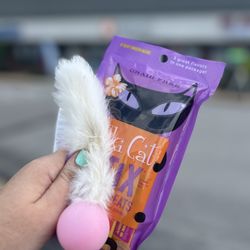 Treats Unleashed - Free cat birthday goodies