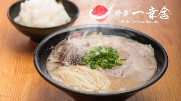 Hakata Ikkousha Tonkotsu Ramen Torrance by null
