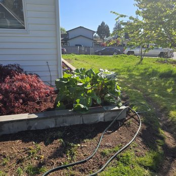 DN Landscaping - Landscaping Near Me DN Landscaping - Landscaping Near Me