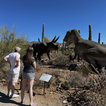 Arizona-Sonora Desert Museum - Museums Near Me - Tucson, Arizona