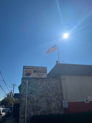 The Moose - Hayward-Castro Valley Lodge 1491 by null