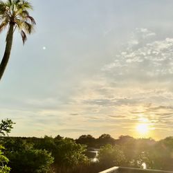 Alafia Scrub Nature Preserve