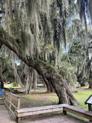 Fort Frederica National Monument by null