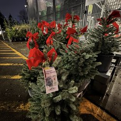 The Home Depot