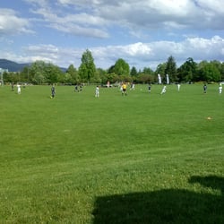 Fichtner Mainwaring Park - Soccer field no lines painted have to use cones