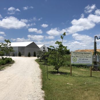 Vital Living Sprouts - a gravel road leading to a farm - Specialty Food Near Me - Delray Beach, Florida Vital Living Sprouts - a gravel road leading to a farm - Specialty Food Near Me - Delray Beach, Florida