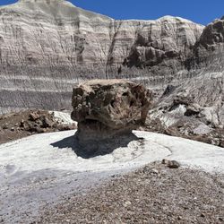 Blue Mesa Trail - Hoodoo