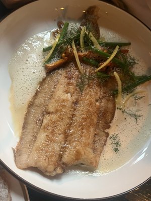 Den Gyldene Freden by null