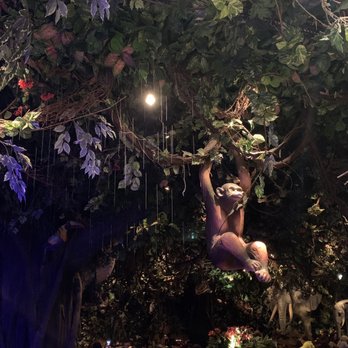 Rainforest Cafe - Love the Decor - American Near Me - Edison, New Jersey Rainforest Cafe - Love the Decor - American Near Me - Edison, New Jersey