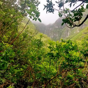 Makaua Falls Trail - There she is... - Hiking Near Me - Kaaawa, Hawaii Makaua Falls Trail - There she is... - Hiking Near Me - Kaaawa, Hawaii
