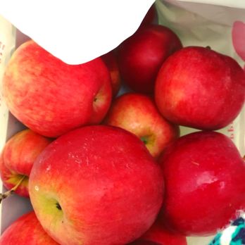 Saratoga Apple - Fruits & Veggies Near Me - Schuylerville, New York Saratoga Apple - Fruits & Veggies Near Me - Schuylerville, New York