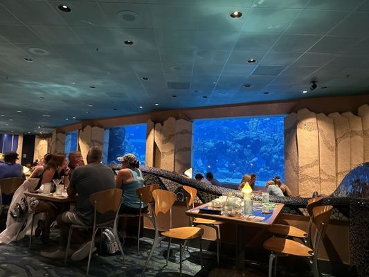 Coral Reef Restaurant by null