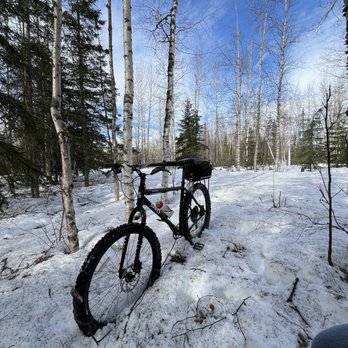Downtown Bicycle Rental - Bike Rentals Near Me - Anchorage, Alaska Downtown Bicycle Rental - Bike Rentals Near Me - Anchorage, Alaska