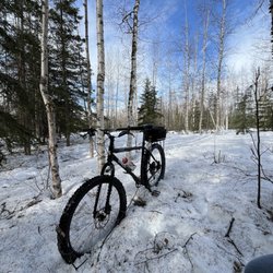 Downtown Bicycle Rental