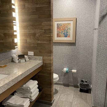 Hotel Indigo Gainesville-Celebration Pointe - Bathroom - Hotels Near Me - Gainesville, Florida Hotel Indigo Gainesville-Celebration Pointe - Bathroom - Hotels Near Me - Gainesville, Florida