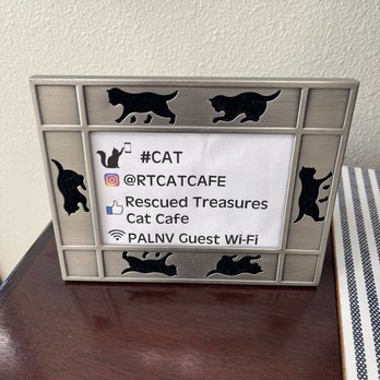 Rescued Treasures Cat Cafe - Pet Adoption Near Me - Las Vegas, Nevada Rescued Treasures Cat Cafe - Pet Adoption Near Me - Las Vegas, Nevada