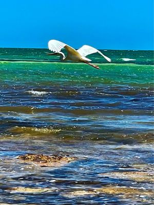 BOCA CHICA BEACH AREA - Updated April 2025 - 171 Photos & 21 Reviews