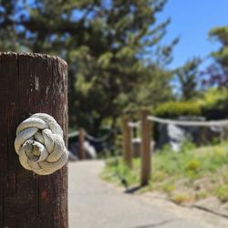 Kelley Park