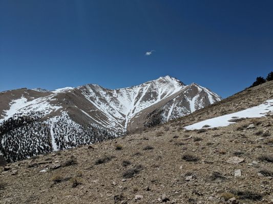 Boundary Peak by null